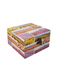 Шкатулка квадратная дерево Поле с тюльпанами (106880) (15х15х9)