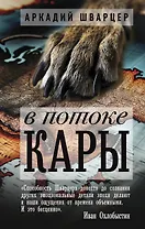 В потоке Кары