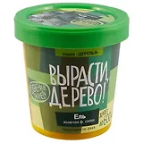 Набор для опытов и экспериментов Набор Вырасти дерево! Ель колючая zk-004