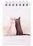 Блокнот А7 60л кл. "Коты. Павлик и Валера" спираль, УФ лак - 0