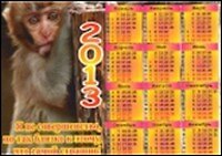 ФИЛЬКИНА ГРАМОТА Календарь-магнит 10*15см "Очаровательная обезьянка"