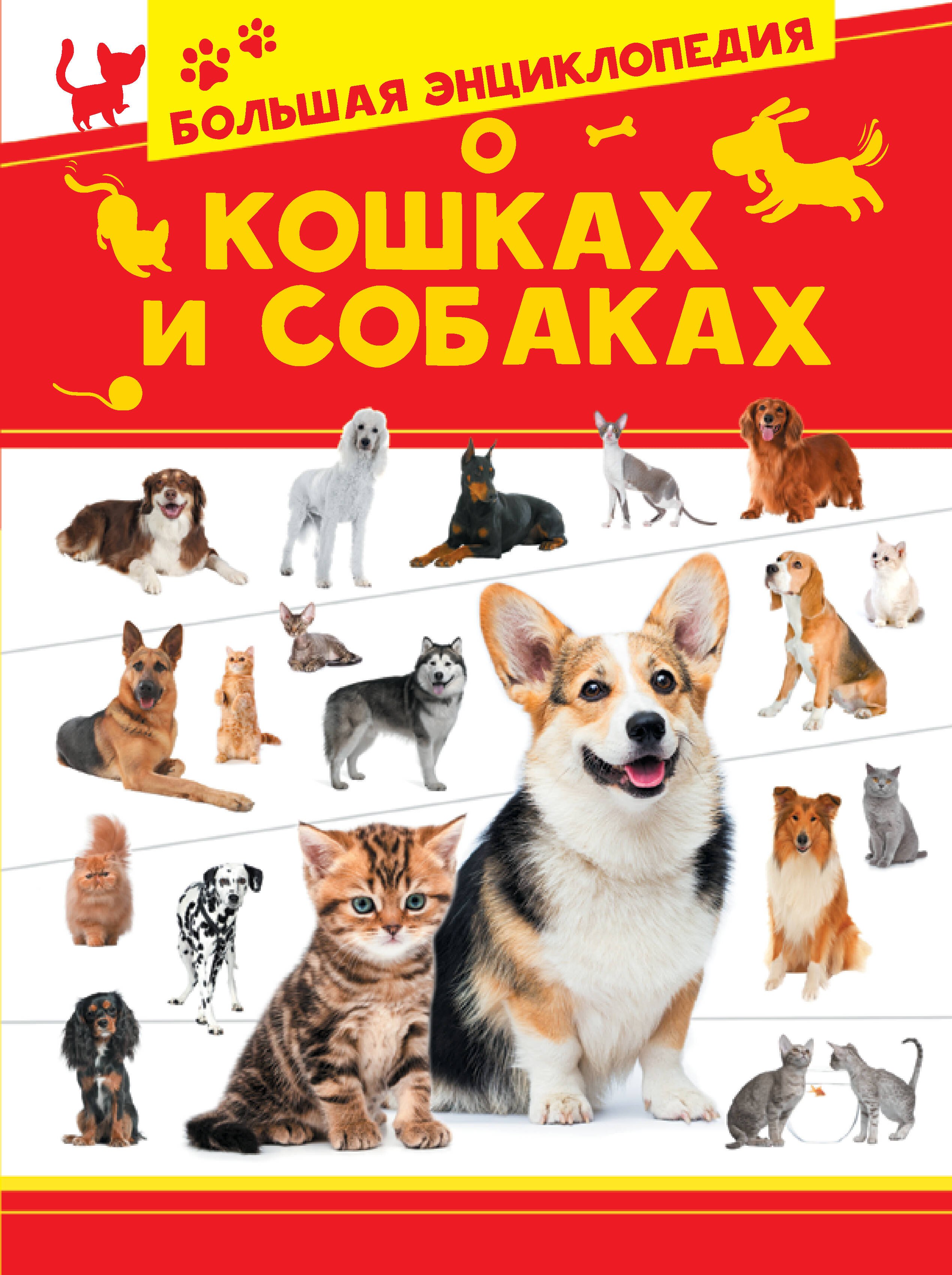 

Большая энциклопедия о кошках и собаках
