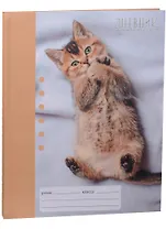 Дневник для младших классов "Милый котик"