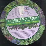 Выращиваем травы для кухни и здоровья. Зеленая шпаргалка садовода и огородника