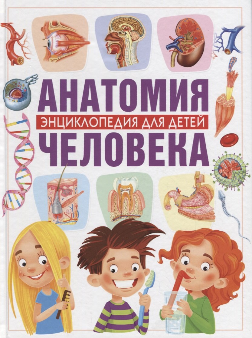 

Анатомия человека.Энциклопедия для детей