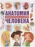 Анатомия человека.Энциклопедия для детей - 0