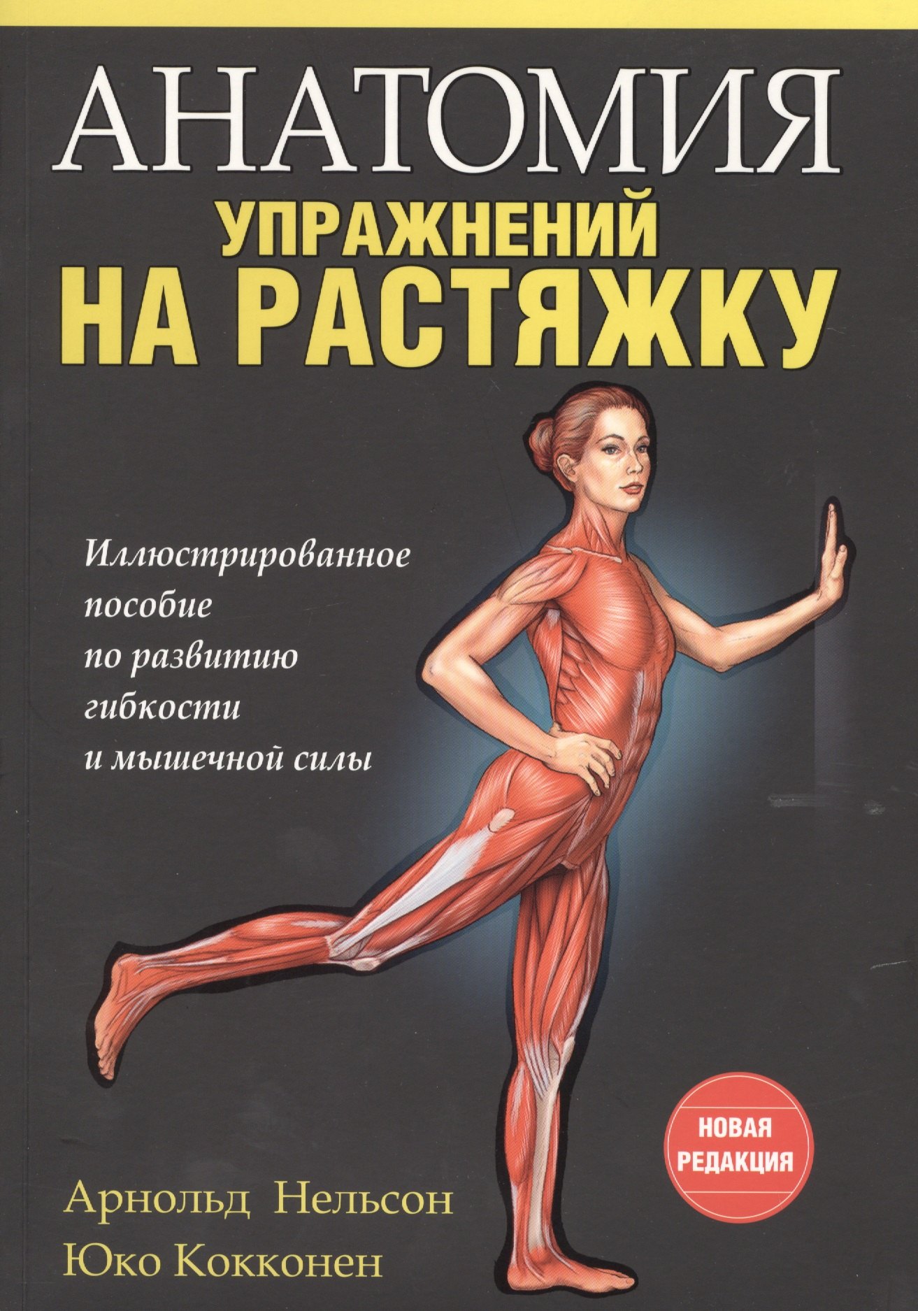 

Анатомия упражнений на растяжку
