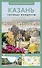 Казань. Путеводитель пешеходам - 0