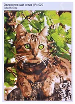 Картина по номерам "Зеленоглазый котик"