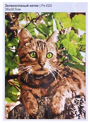 Картина по номерам "Зеленоглазый котик"
