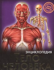 Тело человека