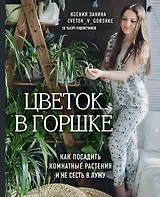 Цветок в горшке. Как посадить комнатные растения и не сесть в лужу