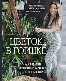 Цветок в горшке. Как посадить комнатные растения и не сесть в лужу