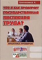 Гусятникова Что и как проверяет государственная инспекция труда?:Практика проверок