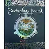 Волшебная книга. Дневник мага