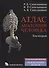 Атлас анатомии человека. В 4-х томах. Том 2. Учение о внутренностях и эндокринных железах - 0