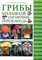Грибы : большой справочник-определитель