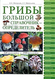 Грибы : большой справочник-определитель