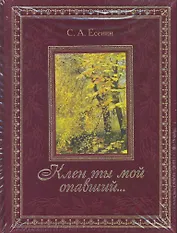 Клен ты мой опавший...