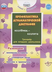 Профилактика аграмматической дисграфии. Тренажёр для младших школьников