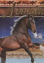 Лошади.