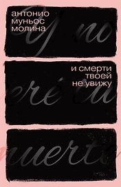 И смерти твоей не увижу: роман