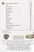 В магазине игрушек - 2