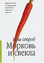 Морковь и свекла