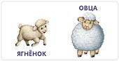 Книжки-картонки. Малыши и мамы - 2
