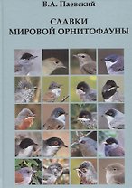 Славки мировой орнитофауны