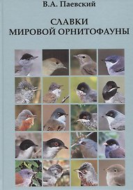 Славки мировой орнитофауны