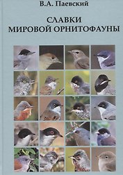 Славки мировой орнитофауны