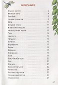 В магазине игрушек - 1