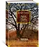 Мысли о жизни. Письма о добром. Статьи, заметки - 2
