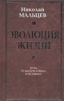 Эволюция жизни. Путь от Богочеловека к человеку