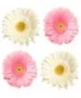 Наклейки для дома, Декоретто, Герберы, розовые-белые