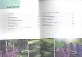 Сад на сложном участке. Иллюстрированный справочник - 1