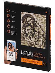 Алмазная мозаика 22х30 см. Серия "СЕЛФИКОНСТРУКТОР". 6 цветов. Ретро Арт.СКА-2454)