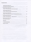 Русский язык. 8 класс. Контрольные и проверочные работы - 1