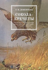 Сокола-кречеты