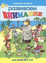Внимание. Для детей 5-7 лет
