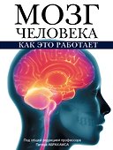 Мозг человека. Как это работает - 0
