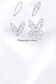 Овечка НС-5-6 - 1