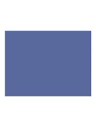 Бумага для пастели 50*65 "Mi-Teintes" 160г/м2 №140 индиго, Canson