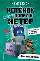 Котенок попал в НЕТЕР Опасные локации