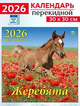 Календарь 2026г 300*300 «Год лошади.Жеребята» настенный, на скрепке
