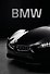 BMW. История легендарного производителя (мини-книга) - 0