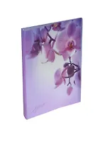 Папка 40ф А4 "Romantique" фиолетовая, Erich Krause