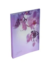 Папка 40ф А4 "Romantique" фиолетовая, Erich Krause