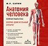 Анатомия человека. Компактный атлас. Опорно-двигательный аппарат - 0
